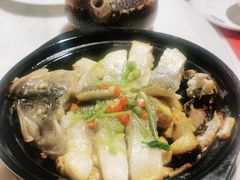 -点都德·毕德寮