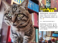 -正阳书局(西四南大街店)