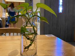 -炖物24章·顺时轻养茶(黄龙店)