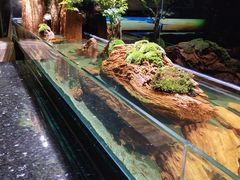 -泰谷酒店·太古码头闽菜自助餐厅