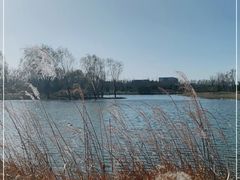 -东郊湿地公园