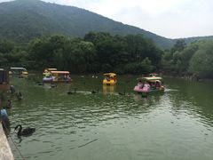 -无锡动物园·太湖欢乐园