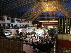 -拉萨圣地天堂洲际大饭店-自助餐厅