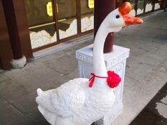 -味德丰·酱鹅(嘉兴新塍店)