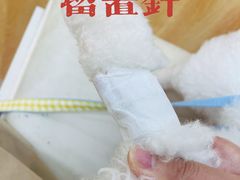 -菲丽丝宠物医院·24小时·猫科中心·免疫点(淮海分院)