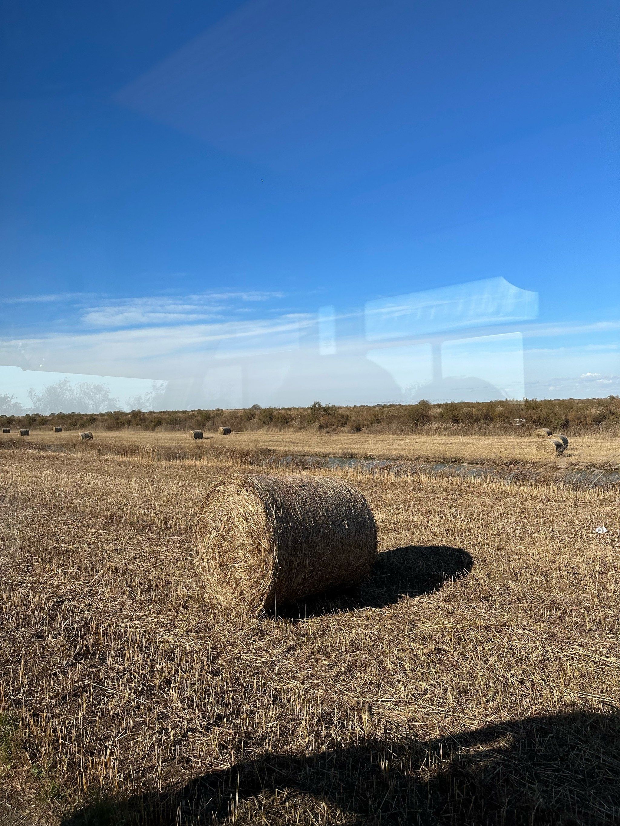 圆滚滚的稻草垛
