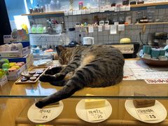 -猫的天空之城概念书店(杭州南宋御街店)