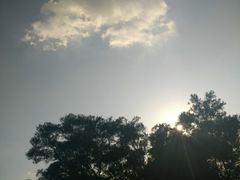 -金鸡山公园