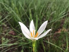 -福田红树林生态公园