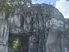 -莫里热带雨林景区