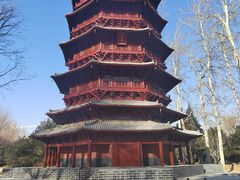 -北京世界公园