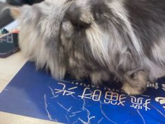 -港悦广场