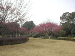 -杭州城北体育公园