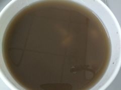 招牌鲜芋仙-鲜芋仙(宝地广场店)