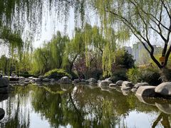 -西安青龙寺遗址景区