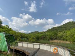 -西湖风景区-江洋畈生态公园