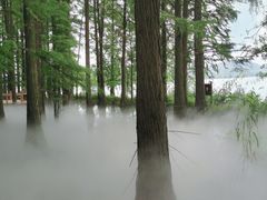 -东湖落雁景区