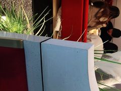 -蜜桃餐厅·伴山(绿宝广场店)