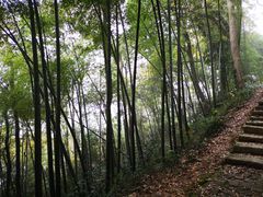 -西湖风景区十里琅珰-五云山