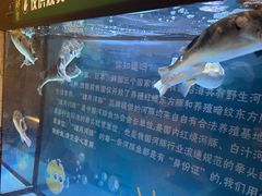 -肆月河豚·淮扬菜·湘菜(华天店)