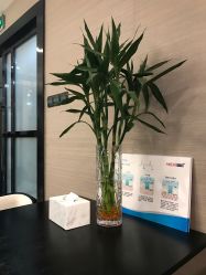 -香榭丽舍·海菲秀·皮肤管理痘敏肌修护
