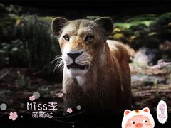 -万达影城(IMAX激光铁西万达广场店)