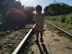 -永定河休闲森林公园