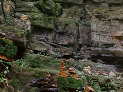 -鹿院坪生态旅游景区