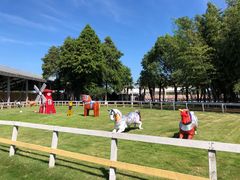 -太阳岛度假酒店