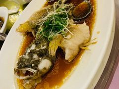 -顺风海鲜港(金玉兰店)