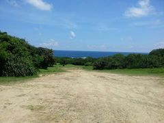 android_upload_pic-鹅銮鼻公园