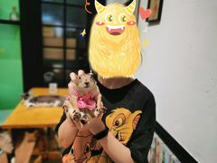 -猫色咖啡·猫咖