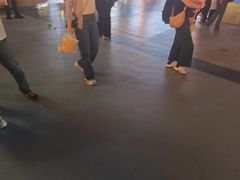 -广州长隆国际大马戏