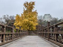 -元大都城垣遗址公园