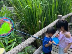 -成都市活水公园