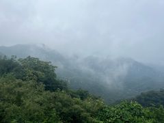 -大岭沟猕猴桃谷风景区