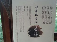 -普陀山雷迪森庄园