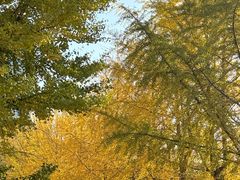 -辽宁大学(崇山校区)