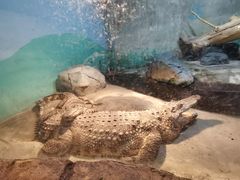 -新疆天山野生动物园