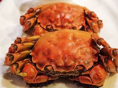 盘锦河蟹-小时候2013(瀚新店)