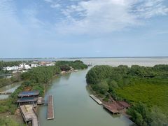 -东寨港红树林旅游区