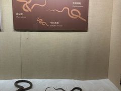 -广东省博物馆