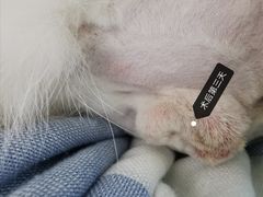 -美联众合24小时·皮肤科·外科·全科诊疗中心(华苑分院)