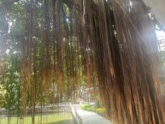 -荔湾湖公园