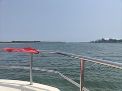 -贝林大翅鲸简餐厅(国家海洋博物馆店)