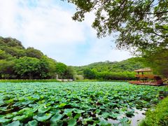 -李小龙乐园(顺德均安店)