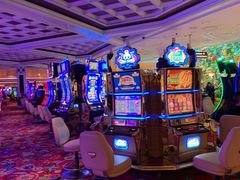 -拉斯维加斯永利酒店