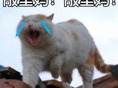 -同堂韩国料理炭火烤肉(彩虹广场店)