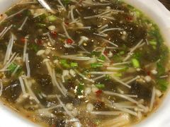 地皮菇-广信传说