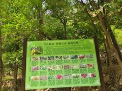 -崂山九水游览区